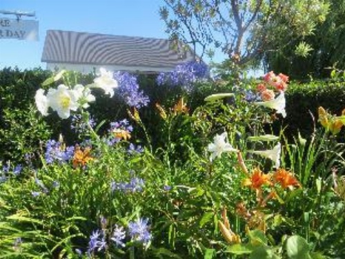 Cotswold Cottage Bed and Breakfast image 22