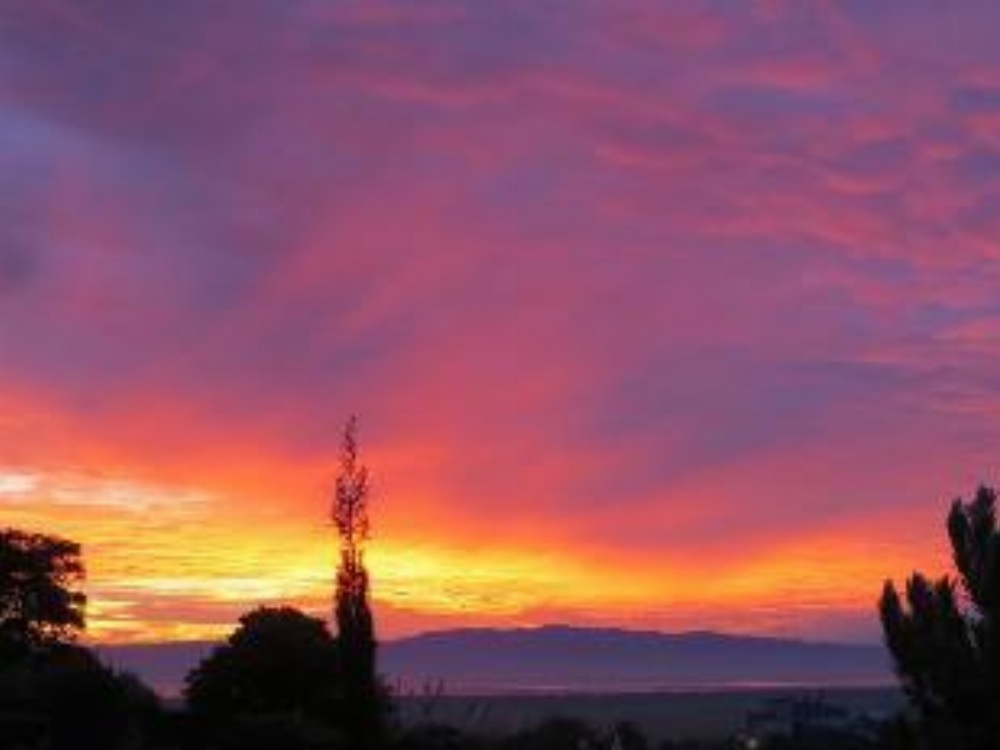 Cotswold Cottage Bed and Breakfast Main image